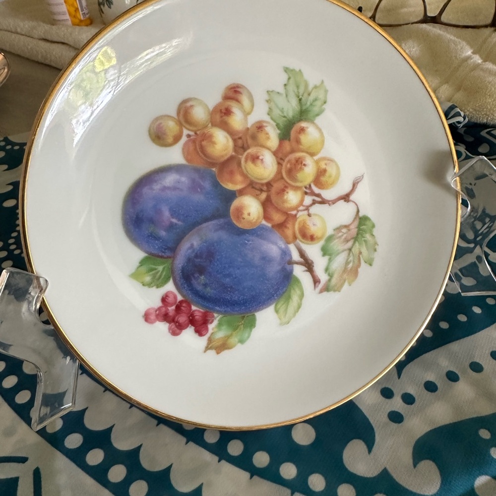 Porzellanfabrik Arzberg Bayern Germany Porcelain Plates Grapes Fruit.